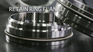 retain ring flange